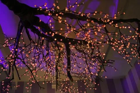 Sparkling Lights on an indoor tree. Stock Photos