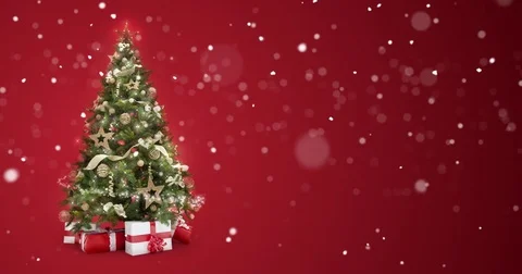 Sparkling lights xmas tree and Merry Christmas greeting message in english on Stock Footage