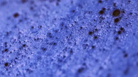 Sparkling liquid shimmering ink flow blue wave Video stock 288795466