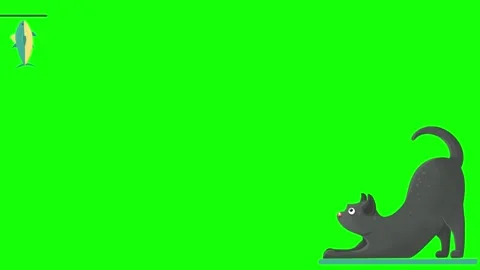 Sparkling magic dust particles on green screen Stockbeeldmateriaal 347652959