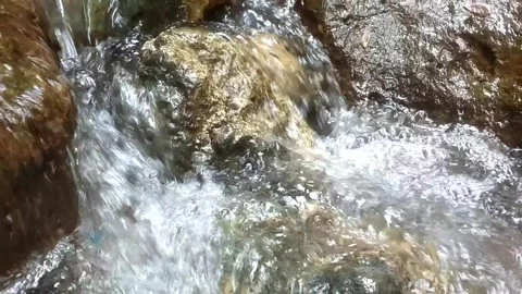 Sparkling Mountain Stream Stock-Footage 332916507