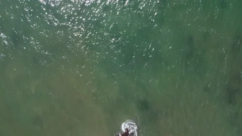 Sparkling Ocean Overhead Shot Video stock 160373180