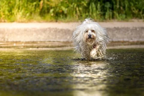 Sparkling. Foto stock