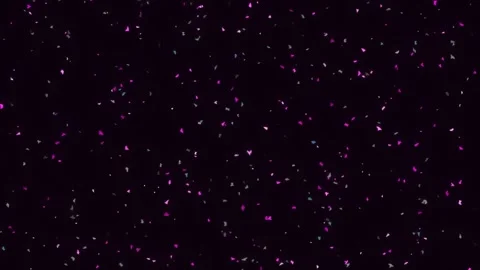 Sparkling pink glitter dust particles falling on black screen for abstract .. Stock Footage 342207354