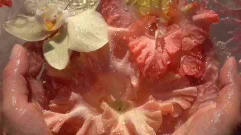 Sparkling rain drops falling down on beautiful flowers in woman hands Видео 116966215