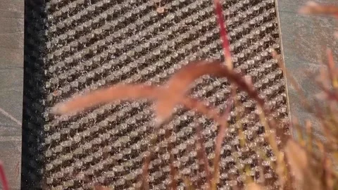 Sparkling in the rays of the sun, the waterfall flows down a vertical wall  Stock Footage 323844127