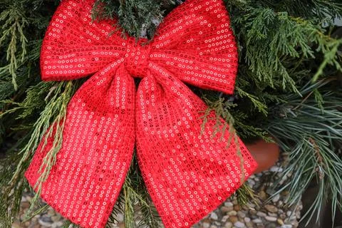 Sparkling red sequin bow adorns a festive evergreen branch for holiday deco.. Stock Photos