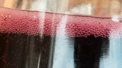 Sparkling red wine in a jug Stock Footage 106200192