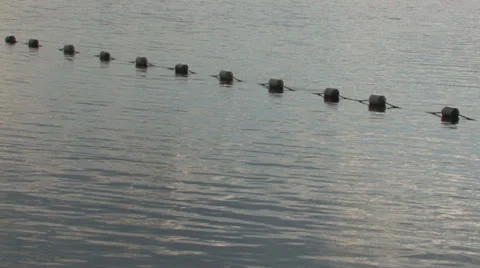 Sparkling ripples on lake surface Stock Footage 25425485