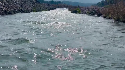Sparkling River Flow Stock Footage 337414125