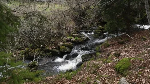 A sparkling  river flowing in the mountains 스톡 동영상 263142435