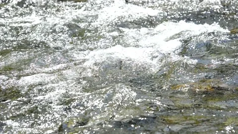 Sparkling River Rapids Flowing Over Rocks in Sunlight Stock Footage 336820326