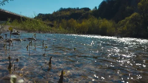 Sparkling River Stream with Spring Tree Buds - Nature Close-up 스톡 동영상 332242318