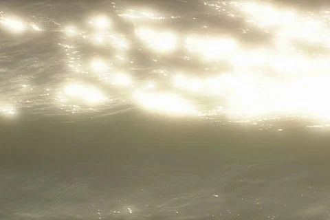 Sparkling Sea Stock Footage 335497