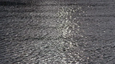 Sparkling sea Stock Footage 41269882