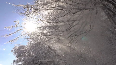 Sparkling Snow Drops Falling Under Bright Sunlight Video stock 315885732