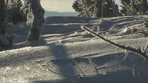 Sparkling snow Stock Footage 10680644