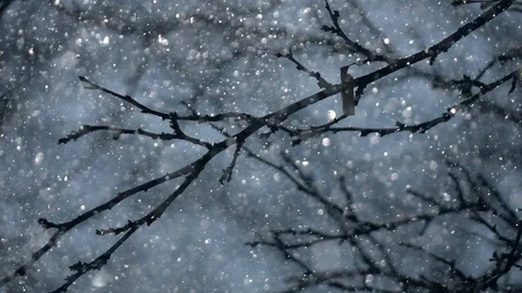 Sparkling snowfall in slow motion and leafless branches on blue snowy background Stock-Footage 87872124
