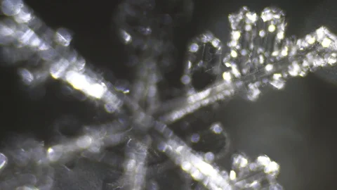 Sparkling snowflake melts under the microscope Stock Footage 86562658