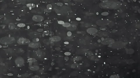 Sparkling soda Bubbles Macro Texture on Dark Background Stock Footage 341893032
