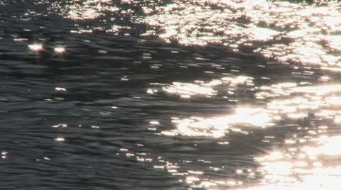 Sparkling Stream Closeup Video stock 10798606