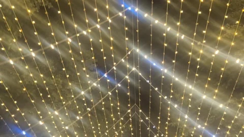 Sparkling string lights creating a magical atmosphere against a dark, night.. Stock Footage 317581185