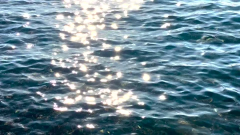 Sparkling sun reflection on rippling water surface Stock Footage 330003513