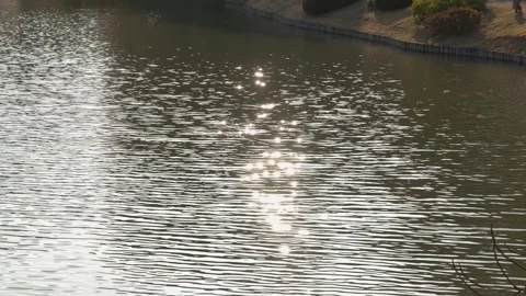 Sparkling Sunlight Reflection on Rippling Water Surface in Tokyo Stock Footage 342720465