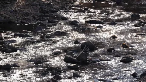 Sparkling sunlight reflections on flowing river water (Yoonseul) Stock Footage 328344286