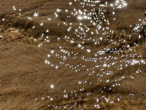 Sparkling Sunlight Reflections on Shallow Sandy Water 스톡 사진