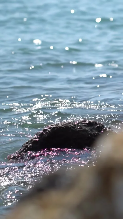 Sparkling sunlight reflects on calm blue water surface surrounding dark rock Stock Footage 335764058