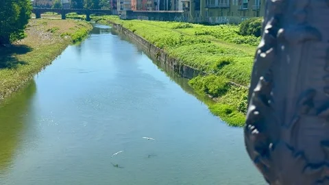 Sparkling sunlight on shallow river water in Parma, Italy. Stock Footage 318545941