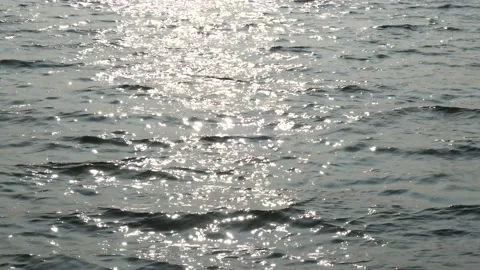 The sparkling surface of the lake Stock Footage 237128544