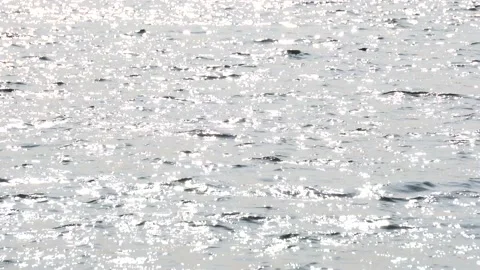 The sparkling surface of the lake Video stock 237129084