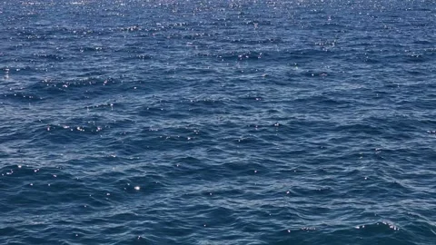 Sparkling surface of the water Vídeos de archivo 284521045