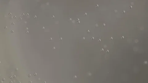 Sparkling Water Bubbles Extreme Close up Stock Footage 123712664
