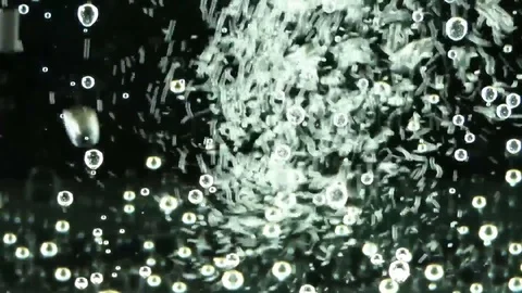 Sparkling water bubbles Stock-Footage 77562209