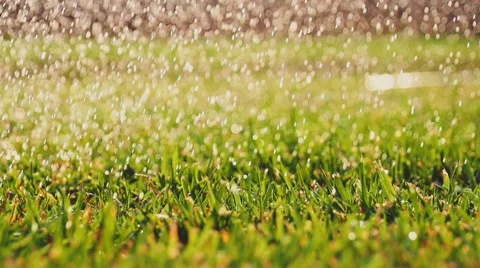 Sparkling water drops are falling on a green grass. Slow Motion 240 fps. 스톡 동영상 55719935