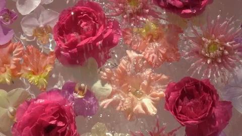 Sparkling water drops falling down on romantic colourful flowers Vidéo 116966247