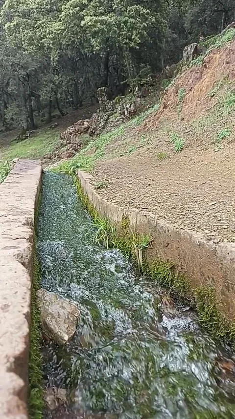 Sparkling Water Flowing Down a Rocky Stream Bed Stock Footage 334345152