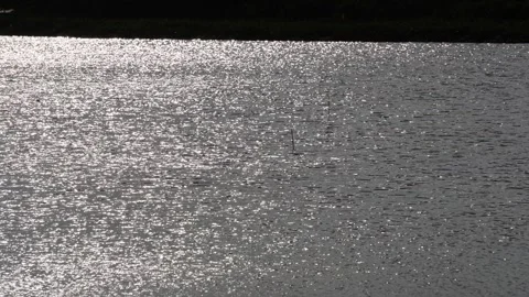 Sparkling water Stock Footage 344815894