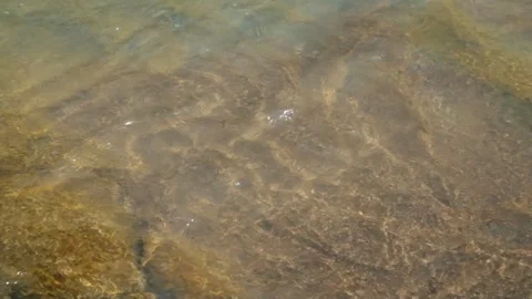 Sparkling water ripples at the bottom of the river Stock Footage 336878382