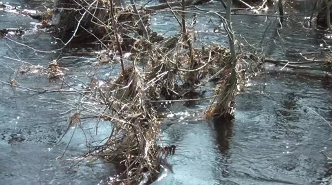 Sparkling water in the sun Stock Footage 48013472