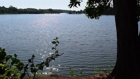 Sparkling water on sunlight Stock Footage 90103790