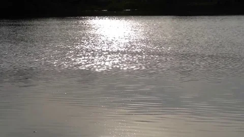 Sparkling on the water surface Video stock 75964110