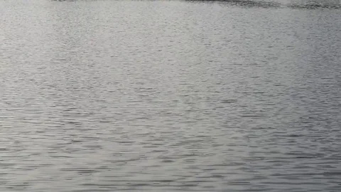 Sparkling on the water surface Stock Footage 75964216