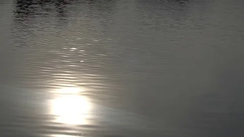 Sparkling on the water surface Stock Footage 75964430