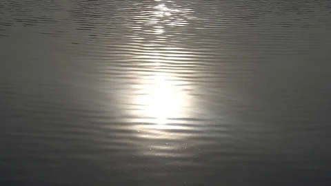 Sparkling on the water surface Stock Footage 75964458