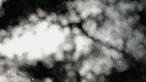 Sparkling water surface out of focus for background.tree out of focus.water Video stock 270698018