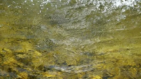 Sparkling Water Surface in Sunlight Stock Footage 318371857